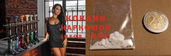 гидра Козловка